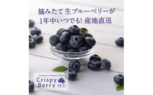 ＜日本でここだけ!＞冬採れブルーベリー〈クリスピーベリー〉 100gパック×3【1280224】
