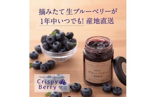 ＜日本でここだけ!・愛知県産＞生ブルーベリー×2パック ブルーベリースプレッド×1個【1332571】