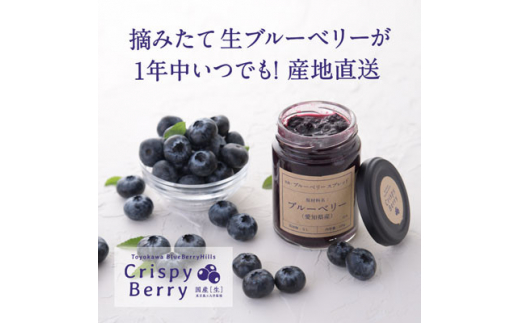 ＜日本でここだけ!冬採れブルーベリー＞　生ブルーベリー×1パック ブルーベリースプレッド×2個【1334619】