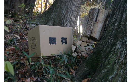 無有の薪（むうのまき）～オリジナル～