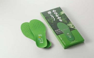 インソール「みなかみを歩こう」１足　⑤28.0ｃｍ～29.0ｃｍ