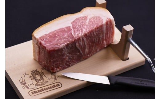 【育風堂精肉店】はもんみなかみミニ原木・パーティーセット 生ハム 原木 豚 国産