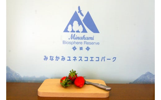 無有のまな板/小〈ロゴ無し〉（天然ナラ） スモーク用チップ付き