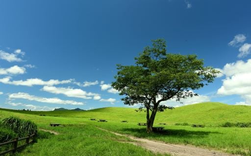 自然環境・景観の保護