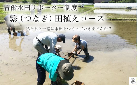 曽爾 水田サポーター制度 繋（つなぎ）​田植えコース ​( 2026年度お申込み用 ) // 田んぼオーナー お米オーナー 景観保護 米作り 水田作業 田植え 交流会 玄米3kg 体験 経験