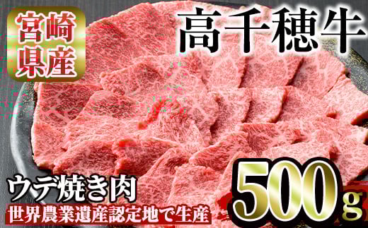 高千穂牛 ウデ焼き肉(500g)国産 宮崎県産 宮崎牛 牛肉 焼肉 ウデ肉 霜降り A4 和牛 ブランド牛  【MT001】【JAみやざき 高千穂牛ミートセンター】