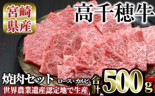 高千穂牛 焼き肉セット(ロース・カルビ各250g) 国産 宮崎県産 宮崎牛 牛肉 焼肉 ロース カルビ 霜降り A4 和牛 ブランド牛【MT010】【JAみやざき 高千穂牛ミートセンター】
