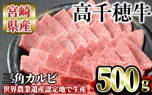 高千穂牛 三角カルビ(500g)国産 宮崎県産 宮崎牛 牛肉 焼肉 カルビ 霜降り A4 和牛 ブランド牛【MT012】【JAみやざき 高千穂牛ミートセンター】