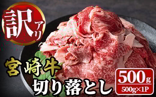 <訳あり>宮崎牛 切り落とし(500g) 牛肉 肉 ブランド牛  冷凍 国産 精肉 お取り寄せ 黒毛和牛 宮崎県 【LJ004】【ローカルブランディング株式会社】