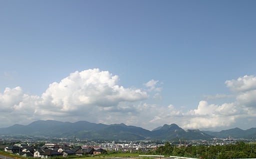 １．市長におまかせ（指定なし）