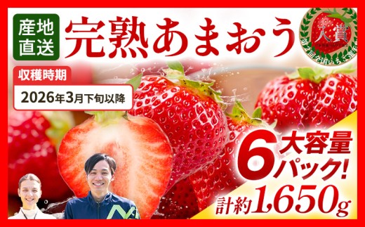あまおう 約1650g（約275g×6パック） 【先行受付／2026年3月下旬以降順次発送予定】いちご 苺 福岡高級 フルーツ お取り寄せ ご当地グルメ 福岡土産 取り寄せ グルメ 福岡県 食品 あかい まるい おおきい うまい ichigo strawberry ストロベリー 果物 旬 冷蔵 福岡県産 アマオウ amaou デザート おやつ くだもの 青果物 数量限定 期間限定