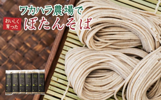L-1502 ワカハラ農場でおいしく育ったぼたんそば《太麺》6束
