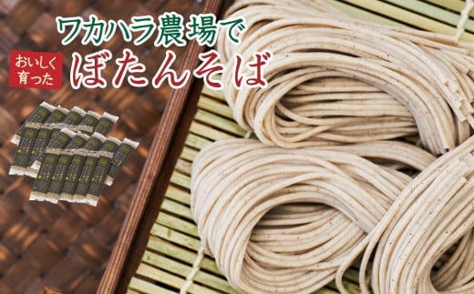 L-5002 ワカハラ農場でおいしく育ったぼたんそば《太麺》 20束