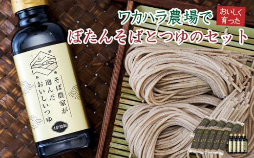 L-3502 ワカハラ農場でおいしく育ったぼたん蕎麦《太麺》10束(200g)×つゆ4本