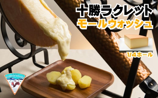AE-2901 広内エゾリスの谷 十勝ラクレットモールウォッシュ(1/4ホール)