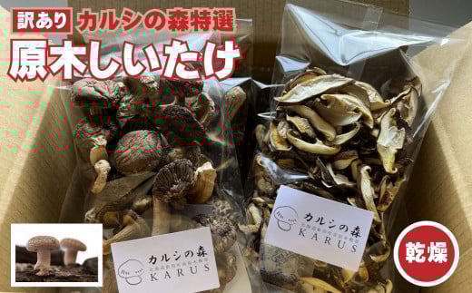 Y-2002 【訳あり】カルシの森特選 原木しいたけ(乾燥)約320g