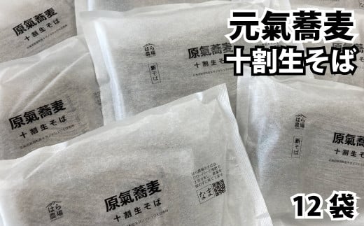 O-4301 原氣蕎麦 生そば12袋