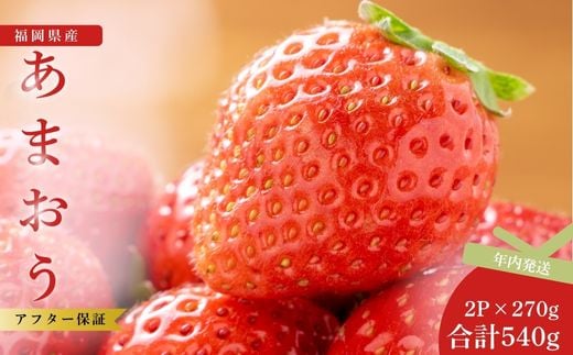【先行予約】福岡県産あまおう 270g×2パック ※年内発送 農家直送 [TY012-2] ※配送不可：北海道・沖縄・離島【福岡県須恵町】いちご イチゴ 苺 フルーツ 果物 国産 九州 送料無料