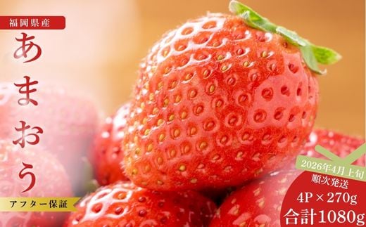 【先行予約】福岡県産あまおう 270g×4パック ※2026年4月上旬順次配送 [TY014-2] ※配送不可：北海道・沖縄・離島【福岡県須恵町】いちご イチゴ 苺 フルーツ 果物 国産 九州 送料無料