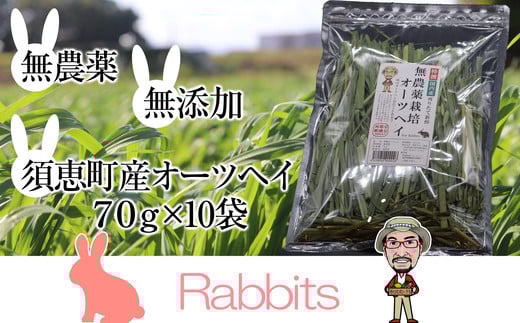【 無農薬栽培 ・ うさぎ用 ペットフード 】 特選 オーツヘイ 70g×10袋 RB003-1
