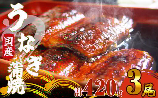 《 国産 》 ふっくら 肉厚 うなぎ蒲焼 3尾 420g SF064-1