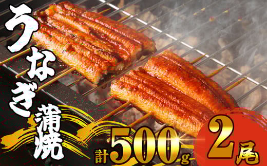 ふっくら肉厚 有頭 うなぎ蒲焼 2尾 500g SF010-2 ~ 冷凍 鰻 特大 小分け ウナギ 蒲焼 蒲焼き 大人気 タレ スタミナ 夏バテ 5尾 1250g おつまみ 魚貝 レンジ トースター オーブン フライパン 湯煎 おつまみ 訳あり うな丼 うな重 中国産 取り寄せ 人気 ふわふわ ランキング レンチン レシピ ごはん 自宅 贈答 ~