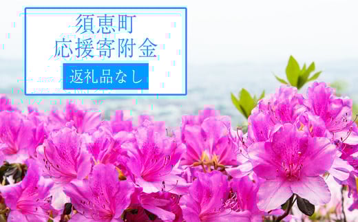 ≪ 返礼品なし ≫ 福岡県 須恵町 への ご寄附 (1口：1,000円 ) SE001-1