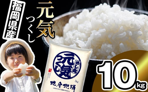 〈令和6年産〉【数量限定】 福岡県産 ブランド 米「 元気つくし 」 10kg NP003-3