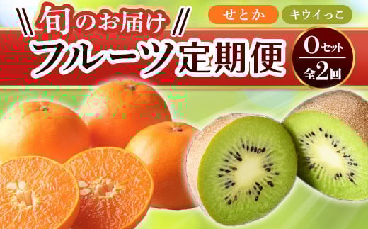 【フルーツ定期便 2回】 《キウイっこからスタート》 Oセット キウイっこ 約1.8kg せとか 約5kg  キウイ キウイフルーツ みかん 柑橘 旬 果物 国産 香川県 フルーツ定期便 F5J-814