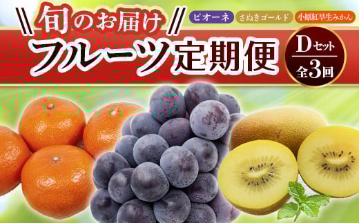 【フルーツ定期便 3回】 《小原紅早生みかんからスタート》 Dセット ピオーネ 約1.2kg さぬきゴールド 約2.7kg 小原紅早生みかん 約4.5kg ぶどう キウイ キウイフルーツ みかん 柑橘 旬 果物 国産 香川県 フルーツ定期便 F5J-796