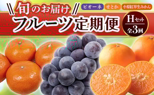 【フルーツ定期便 3回】 《小原紅早生みかんからスタート》 Hセット ピオーネ 約1.2kg 小原紅早生みかん 約4.5kg せとか 約5kg ぶどう みかん 柑橘 旬 果物 国産 香川県 フルーツ定期便 F5J-800