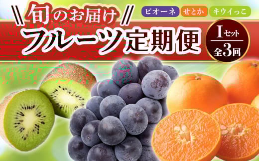 【フルーツ定期便 3回】 《キウイっこからスタート》 Iセット ピオーネ 約1.2kg キウイっこ 約1.8kg せとか 約5kg ぶどう キウイ キウイフルーツ みかん 柑橘 旬 果物 国産 香川県 フルーツ定期便 F5J-801