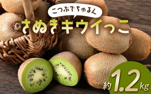 【先行予約】《2025年11月～2026年2月頃お届け》 こつぶでちゅるん さぬきキウイっこ 約1.2kg 一口サイズ 香川 四国 フルーツ 果物 くだもの キウイ キュウイ 果実 フルーツ 旬  香川県 香川県共通返礼品 F5J-1023