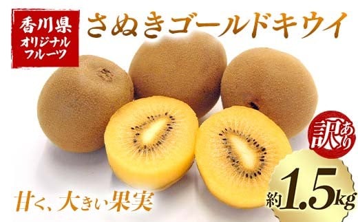 【先行予約2025年10月～2025年12月頃お届け】 訳ありさぬきゴールドキウイ (約1.5kg) フルーツ 果物 くだもの ゴールド キウイ キウイフルーツ さぬき ゴールドキウイ デザート 食品 名産 四国 1万円 F5J-1064