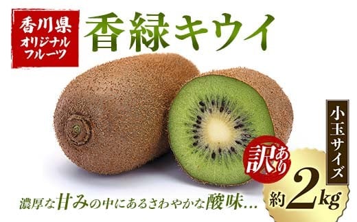 【先行予約2025年12月～2026年3月頃お届け】訳あり香緑キウイ (小玉サイズ) (約2kg) フルーツ 果物 くだもの キウイ 香緑 小玉 デザート キウイフルーツ 食品 名産 四国 1万円 F5J-1066