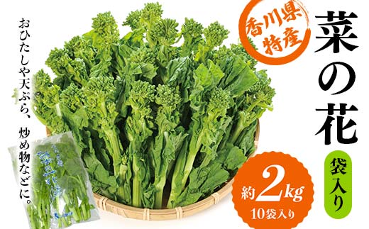 【先行予約2025年12月~2026年3月頃お届け】 菜の花 約2kg (10袋入り) なの花 菜の花 おひたし 天ぷら 炒め物 春 野菜 食品 名産 四国 F5J-925