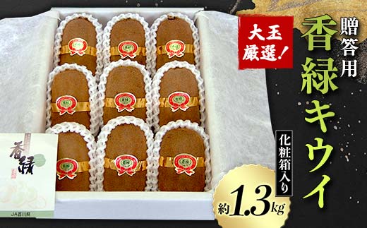 【先行予約2025年12月~2026年3月頃お届け】《贈答用》大玉厳選!香緑キウイ 化粧箱入り (約1.3kg) フルーツ 果物 くだもの キウイ 香緑 贈答用 ギフト 贈り物 デザート キウイフルーツ 食品 名産 四国 F5J-671