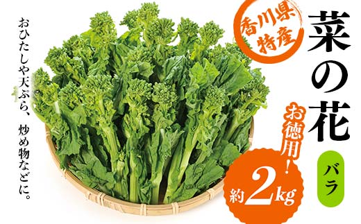 【先行予約2025年12月~2026年3月頃お届け】  菜の花 バラ (約2kg) なの花 菜の花 おひたし 天ぷら 炒め物 春 野菜 食品 名産 四国 F5J-926