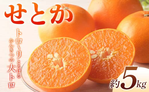 【先行予約】《2026年2月上旬~3月中旬頃お届け》 みかん せとか 約5kg トロ~リとろけるかんきつの大トロ 柑橘 完熟 みかん ミカン 果物 フルーツ くだもの 国産 せとか フルーツ 旬 果物 香川県三豊市共通返礼品  F5J-538