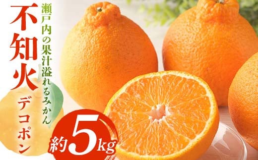 【先行予約】《2026年3月上旬~下旬頃お届け》 デコポン 瀬戸内の果汁溢れるみかん 不知火 約5kg しらぬい 糖度13度以上 みかん 柑橘 フルーツ 旬 でこぽん デコポン 厳選 香川県共通返礼品 F5J-744