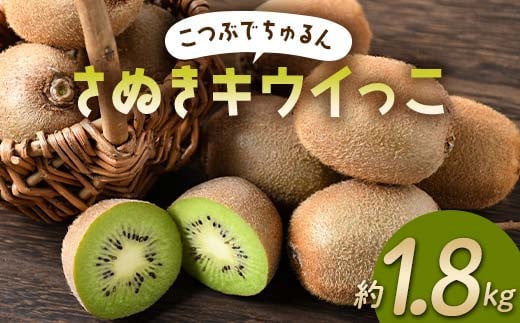 【先行予約】《2025年11月下旬~12月中旬頃お届け》 こつぶでちゅるん さぬきキウイっこ 約1.8kg 糖度 17~20度 一口サイズ 香川 四国 フルーツ 果物 くだもの キウイ キュウイ 果実 フルーツ 旬  香川県 香川県共通返礼品 F5J-544