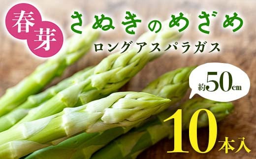 【先行予約2026年2月~5月頃お届け】春芽 さぬきのめざめ 約50㎝ロングアスパラガス 10本入り アスパラ サラダ お弁当 おかず フレッシュ 新鮮 琴平 香川 F5J-762