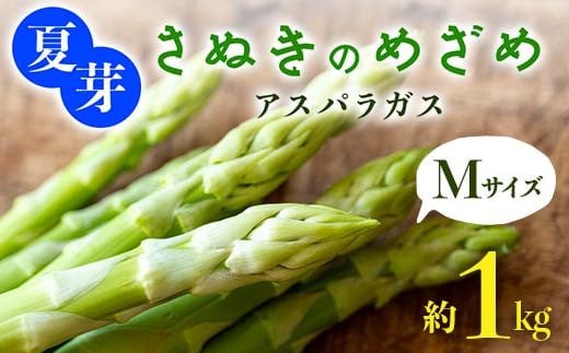 【先行予約2026年6月~10月頃お届け】夏芽 さぬきのめざめ アスパラガス Mサイズ 約1kg  F5J-770