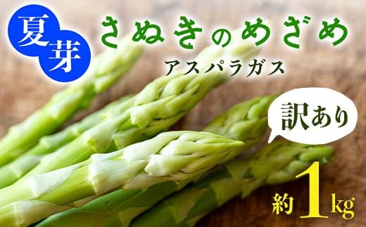 【先行予約2026年6月~10月頃お届け】【訳あり】夏芽 さぬきのめざめアスパラガス 約1kg 1万円 F5J-771