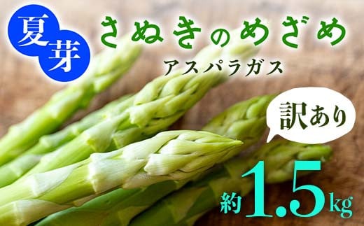 【先行予約2026年6月~10月頃お届け】【訳あり】夏芽 さぬきのめざめアスパラガス 約1.5kg  F5J-772