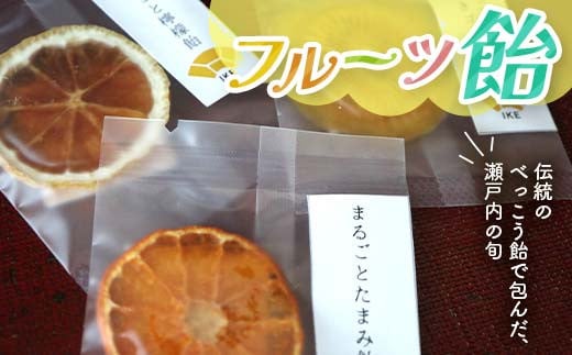 こんぴら池商店【フルーツ飴菓子】フルーツ飴 9枚(棒なし) 瀬戸内レモン さぬきゴールド たまみ みかん 伝統 あめ 飴 おやつ おみやげ ギフト フルーツ 香川県 F5J-492