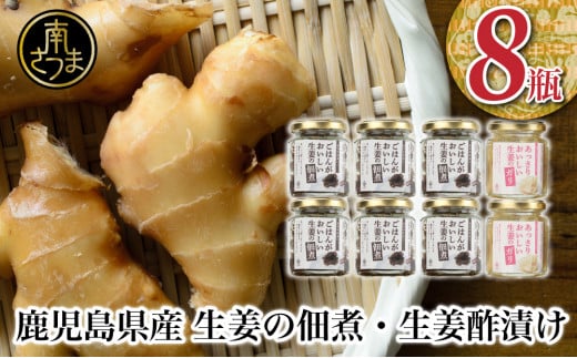 【健康習慣】生姜の佃煮・生姜酢漬け 2種 計8個 佃煮 つくだ煮 セット 珍味 惣菜 生姜 しょうが 鹿児島 エスランドル 南さつま市