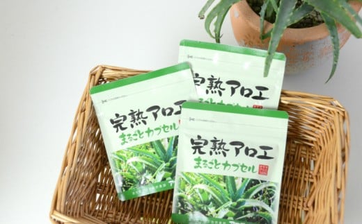 【健康習慣】完熟アロエまるごとカプセル