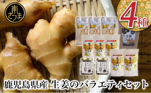 【健康習慣】生姜のバラエティセット 4種 生姜パウダー ジンジャー ココア スナック 佃煮 ごはん 料理 味噌汁 しょうが 鹿児島 エスランドル 南さつま市