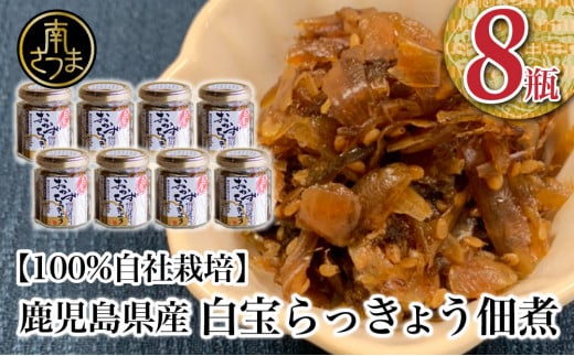 【鹿児島県産】白宝らっきょう佃煮 8個 佃煮 つくだ煮 セット 珍味 惣菜 らっきょう 鹿児島 エスランドル 南さつま市